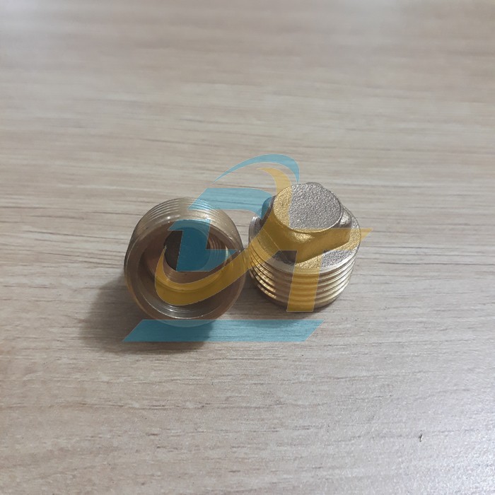 Nắp b&iacute;t ren ngo&agrave;i đồng thau phi 21