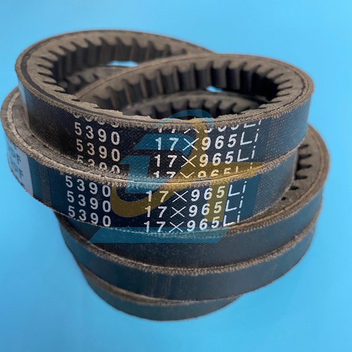 D&acirc;y curoa Bando RPF 5390