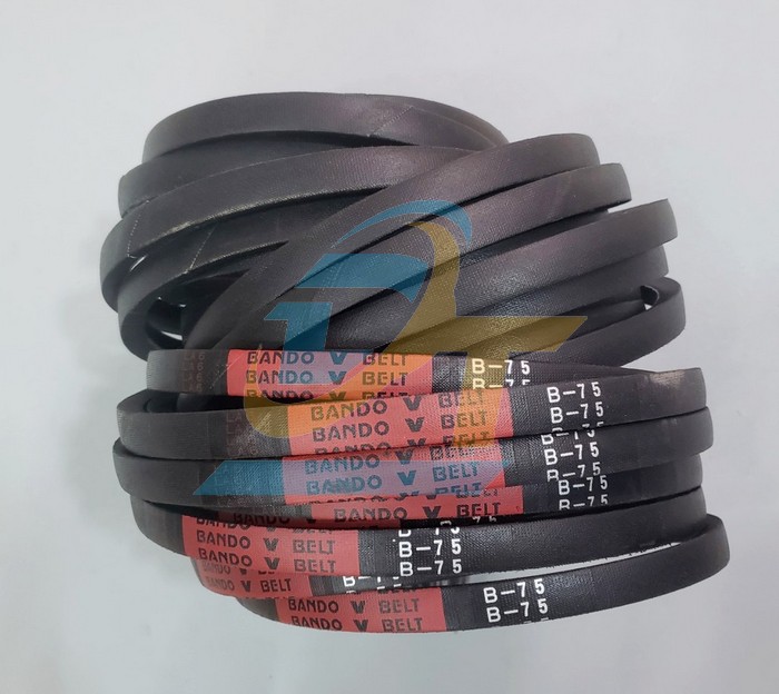 D&acirc;y curoa Bando B75