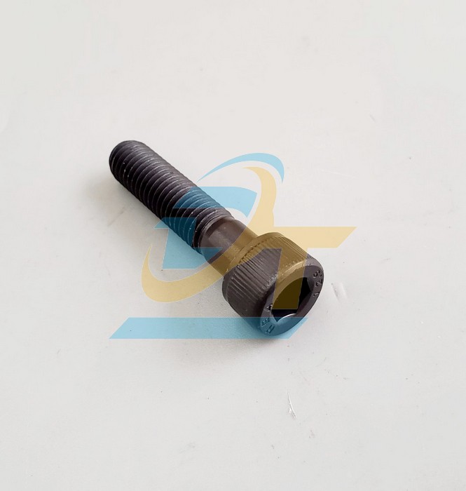 Bulong lục gi&aacute;c ch&igrave;m đầu trụ th&eacute;p đen ren lửng M10x45
