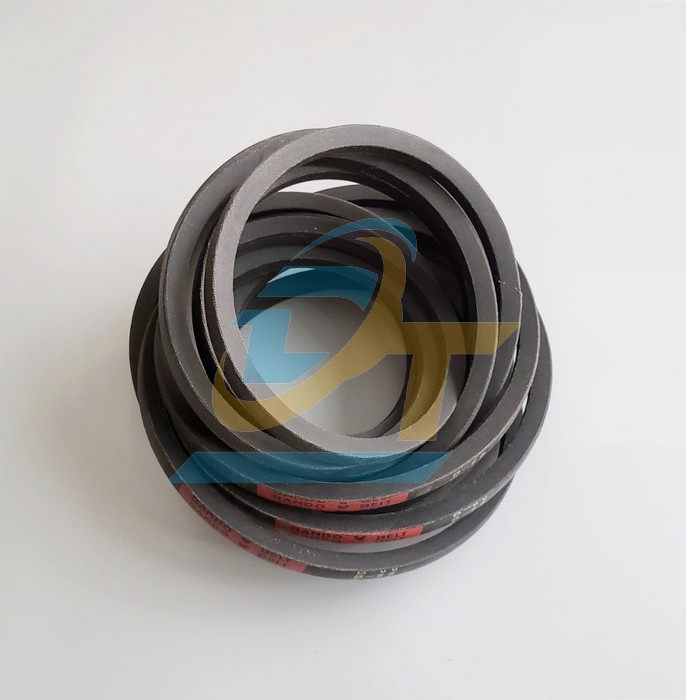 D&acirc;y curoa Bando B66