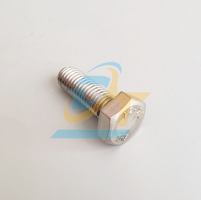 Bulong inox 304 M16x70