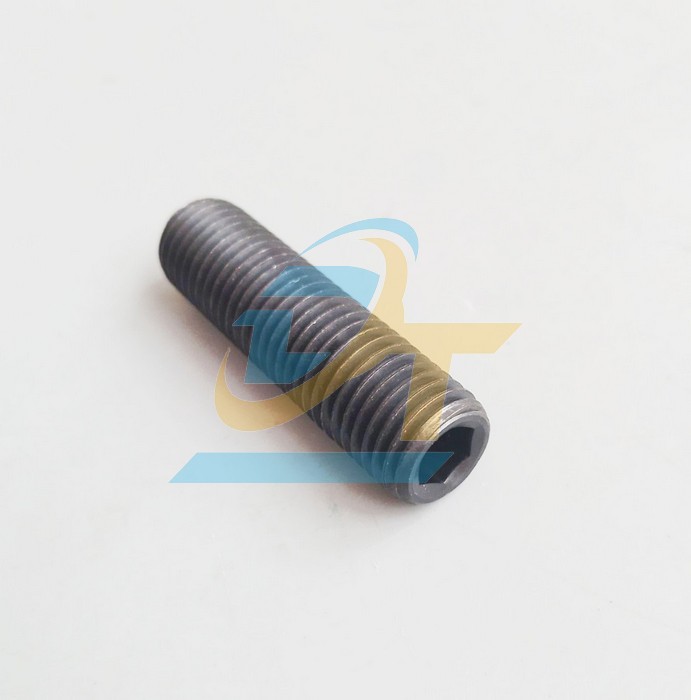 Lục gi&aacute;c &acirc;m th&eacute;p đen (Ốc tr&iacute;) M16x60
