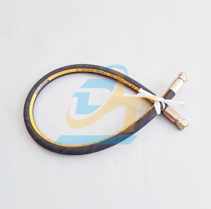 Ống tuy &ocirc; thủy lực 2 lớp bố Dynexflex 1/2"x1000mm bấm 2 đầu ren trong 19 c&ocirc;n l&otilde;m
