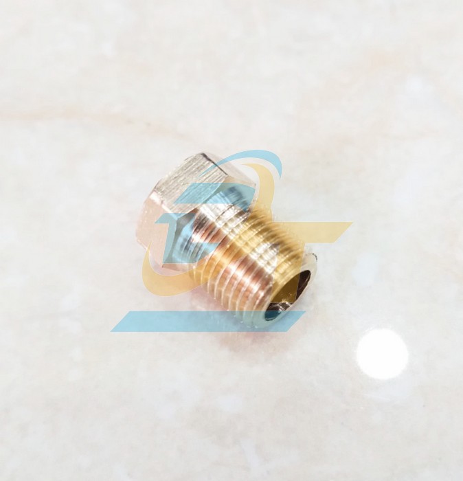 Nắp b&iacute;t ren ngo&agrave;i đồng thau 1/8" - 9.6mm