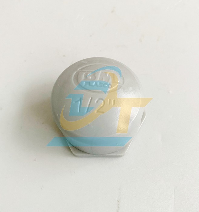 Nắp b&iacute;t trơn PVC B&igrave;nh Minh 27
