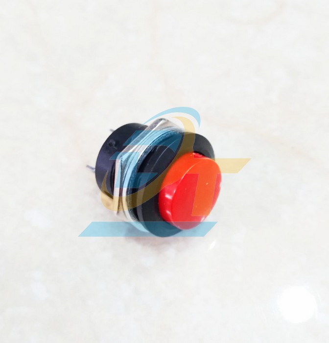 N&uacute;t nhấn nhả 16mm 3A 250V 2 ch&acirc;n R13-507