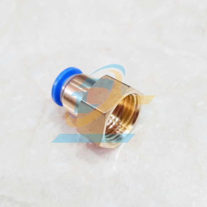 Đầu nối hơi thẳng ren trong 21 ống 10 China CF10-04