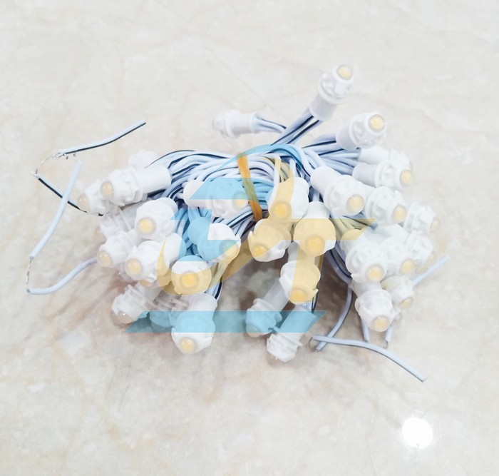 Đ&egrave;n Led đ&uacute;c F5 12V đế 9mm 50 b&oacute;ng