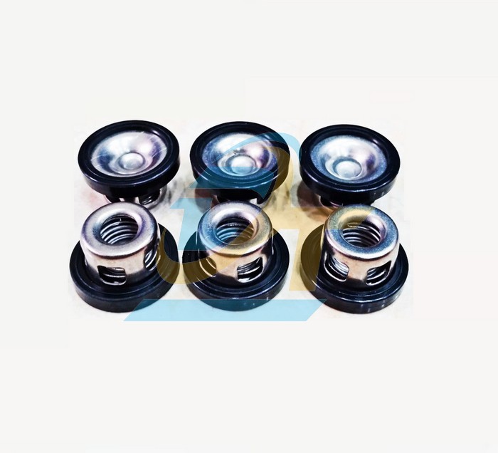 Van 1 chiều (Luppe) m&aacute;y bơm xịt rửa xe &aacute;p lực 2HP