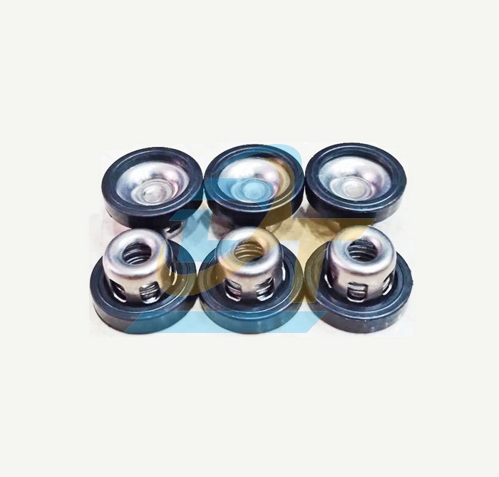 Van 1 chiều (Luppe) m&aacute;y bơm xịt rửa xe &aacute;p lực 1HP