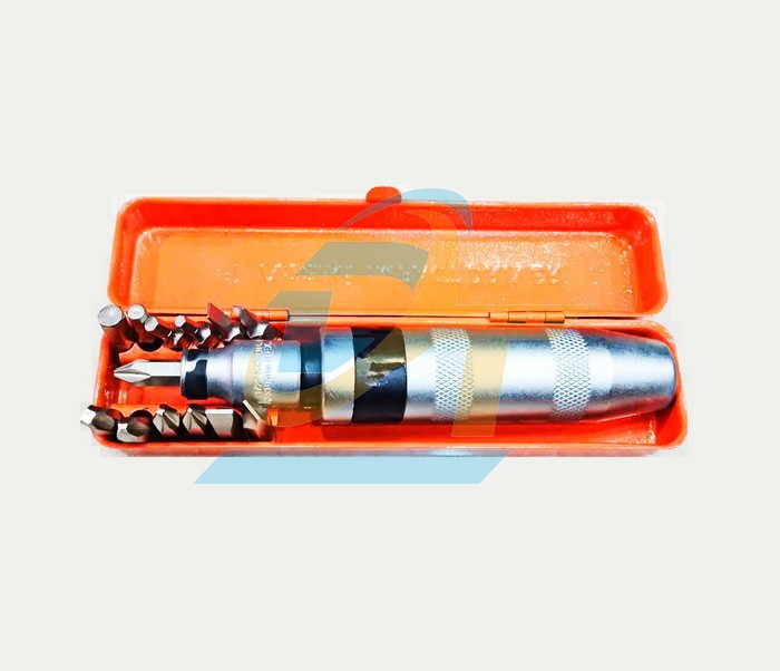 Bộ v&iacute;t đ&oacute;ng 12 chi tiết Asaki AK-7192