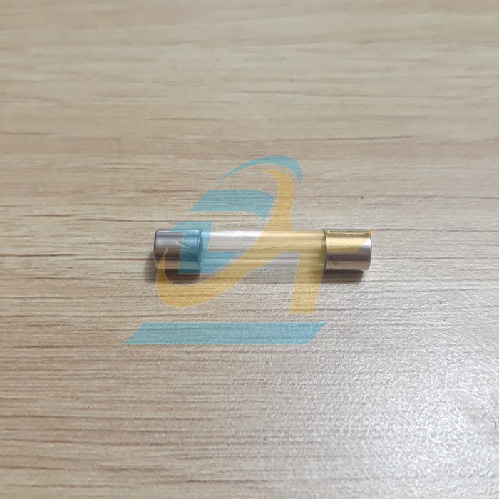 Cầu ch&igrave; ống thủy tinh 2A 5x20mm  China | Gi&aacute; rẻ nhất - C&ocirc;ng Ty TNHH Thương Mại Dịch Vụ Đạt T&acirc;m