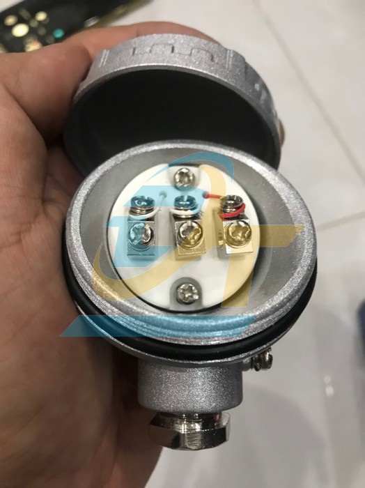 Đầu d&ograve; PT100 củ h&agrave;nh phi 6mm x  L150mm  M13*1.0 PT100 VietNam | Gi&aacute; rẻ nhất - C&ocirc;ng Ty TNHH Thương Mại Dịch Vụ Đạt T&acirc;m