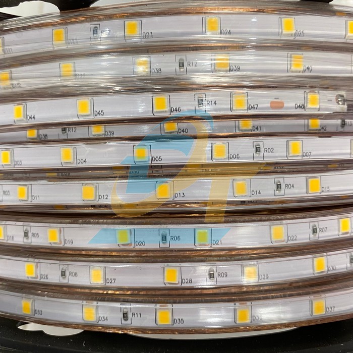 Đ&egrave;n led d&acirc;y 5050 220V &aacute;nh s&aacute;ng v&agrave;ng 100m  China | Gi&aacute; rẻ nhất - C&ocirc;ng Ty TNHH Thương Mại Dịch Vụ Đạt T&acirc;m