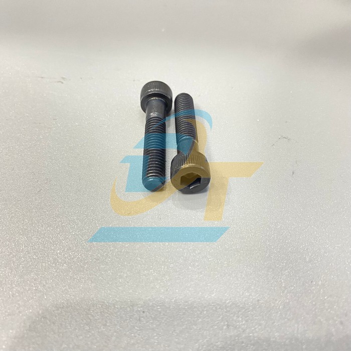 Bulong lục gi&aacute;c ch&igrave;m đầu trụ th&eacute;p đen ren lửng M5x35  VietNam | Gi&aacute; rẻ nhất - C&ocirc;ng Ty TNHH Thương Mại Dịch Vụ Đạt T&acirc;m