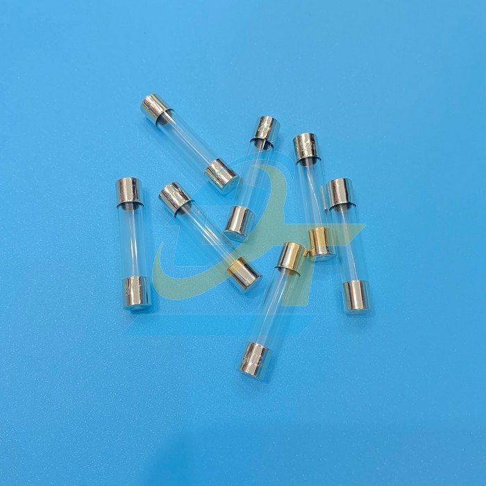 Cầu ch&igrave; ống thủy tinh 2A 6x30mm  China | Gi&aacute; rẻ nhất - C&ocirc;ng Ty TNHH Thương Mại Dịch Vụ Đạt T&acirc;m