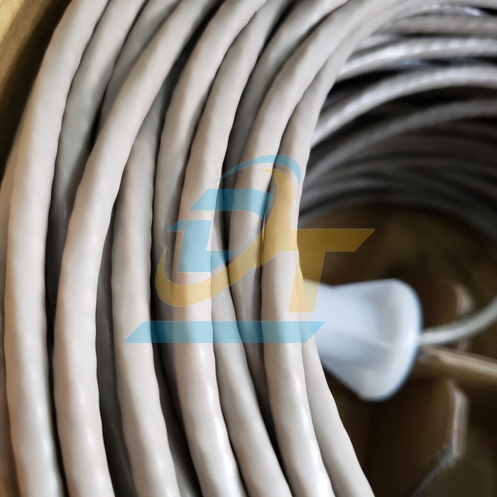 C&aacute;p mạng Dintek CAT6 UTP 100m 1101-04005CH 1101-04005CH DINTEK | Gi&aacute; rẻ nhất - C&ocirc;ng Ty TNHH Thương Mại Dịch Vụ Đạt T&acirc;m