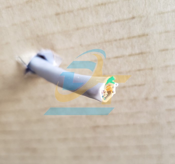 C&aacute;p mạng Dintek CAT6 UTP 100m 1101-04005CH 1101-04005CH DINTEK | Gi&aacute; rẻ nhất - C&ocirc;ng Ty TNHH Thương Mại Dịch Vụ Đạt T&acirc;m