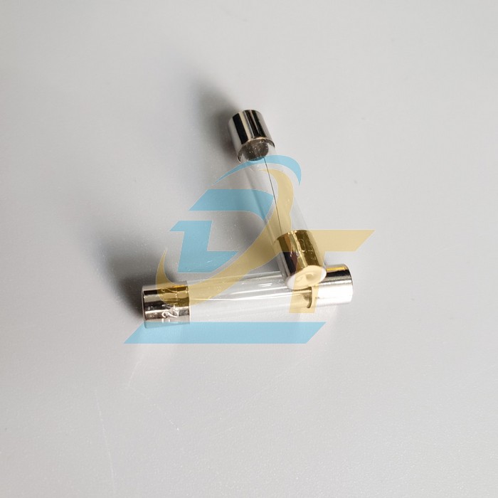 Cầu ch&igrave; ống thủy tinh 2A 6x30mm  China | Gi&aacute; rẻ nhất - C&ocirc;ng Ty TNHH Thương Mại Dịch Vụ Đạt T&acirc;m