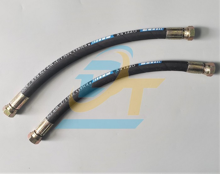 Ống tuy &ocirc; thủy lực GPFLEX 1/2"x440mm bấm 2 đầu ren trong 21 c&ocirc;n lồi  GPFLEX | Gi&aacute; rẻ nhất - C&ocirc;ng Ty TNHH Thương Mại Dịch Vụ Đạt T&acirc;m
