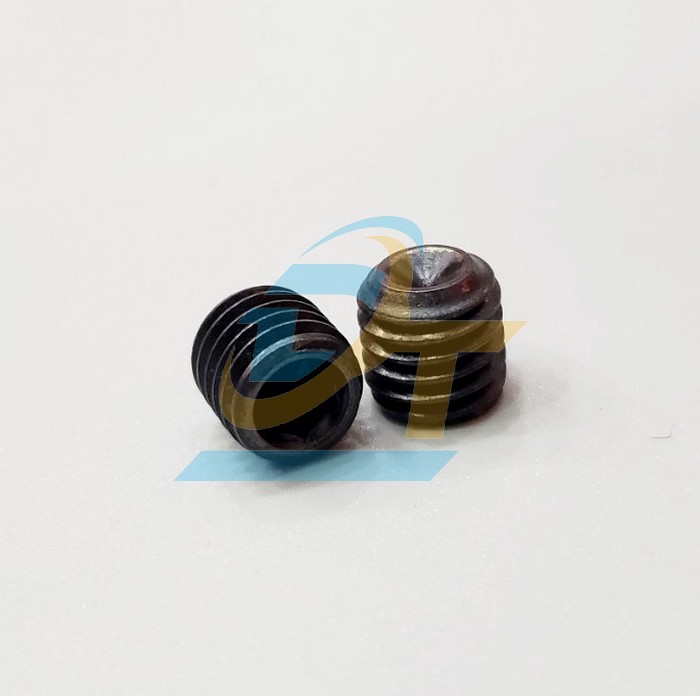 Ốc bịt thẳng MSW M10x1.5P  VietNam | Gi&aacute; rẻ nhất - C&ocirc;ng Ty TNHH Thương Mại Dịch Vụ Đạt T&acirc;m