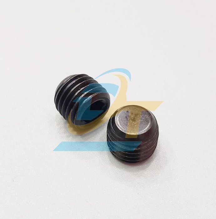 Ốc bịt thẳng MSW M12x1.5P  VietNam | Gi&aacute; rẻ nhất - C&ocirc;ng Ty TNHH Thương Mại Dịch Vụ Đạt T&acirc;m