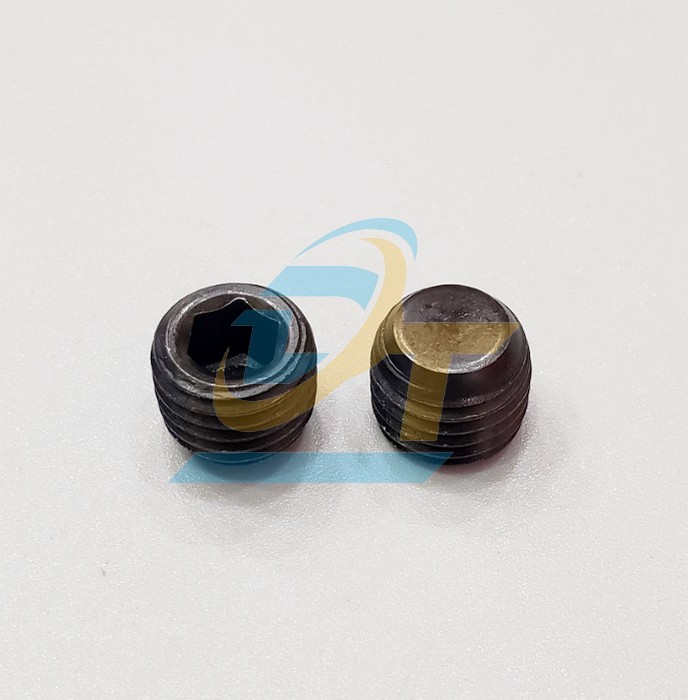 Ốc bịt thẳng MSW M12x1.5P  VietNam | Gi&aacute; rẻ nhất - C&ocirc;ng Ty TNHH Thương Mại Dịch Vụ Đạt T&acirc;m