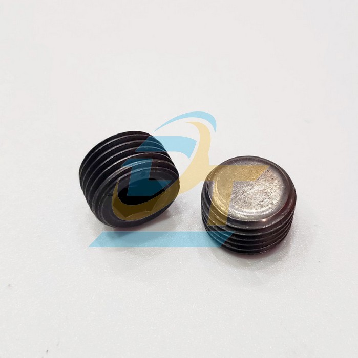 Ốc bịt thẳng MSW M16x1.5P  VietNam | Gi&aacute; rẻ nhất - C&ocirc;ng Ty TNHH Thương Mại Dịch Vụ Đạt T&acirc;m