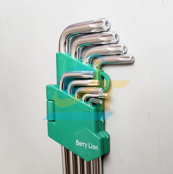 Bộ lục gi&aacute;c b&ocirc;ng (hoa khế) d&agrave;i 9 c&acirc;y T10-T50 Berrylion 062109578  Berrylion | Gi&aacute; rẻ nhất - C&ocirc;ng Ty TNHH Thương Mại Dịch Vụ Đạt T&acirc;m