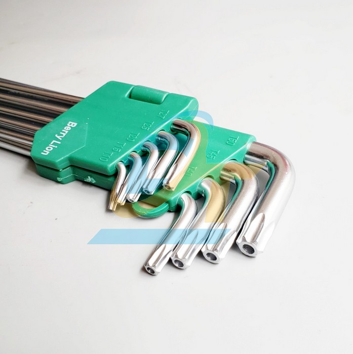 Bộ lục gi&aacute;c b&ocirc;ng (hoa khế) d&agrave;i 9 c&acirc;y T10-T50 Berrylion 062109578  Berrylion | Gi&aacute; rẻ nhất - C&ocirc;ng Ty TNHH Thương Mại Dịch Vụ Đạt T&acirc;m