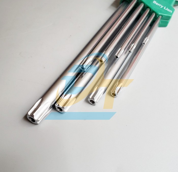 Bộ lục gi&aacute;c b&ocirc;ng (hoa khế) d&agrave;i 9 c&acirc;y T10-T50 Berrylion 062109578  Berrylion | Gi&aacute; rẻ nhất - C&ocirc;ng Ty TNHH Thương Mại Dịch Vụ Đạt T&acirc;m