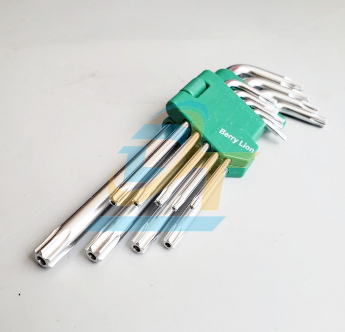 Bộ lục gi&aacute;c b&ocirc;ng (hoa khế) 9 c&acirc;y T10-T50 Berrylion (loại ngắn)  Berrylion | Gi&aacute; rẻ nhất - C&ocirc;ng Ty TNHH Thương Mại Dịch Vụ Đạt T&acirc;m
