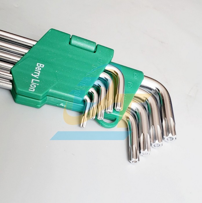 Bộ lục gi&aacute;c b&ocirc;ng (hoa khế) 9 c&acirc;y T10-T50 Berrylion (loại ngắn)  Berrylion | Gi&aacute; rẻ nhất - C&ocirc;ng Ty TNHH Thương Mại Dịch Vụ Đạt T&acirc;m