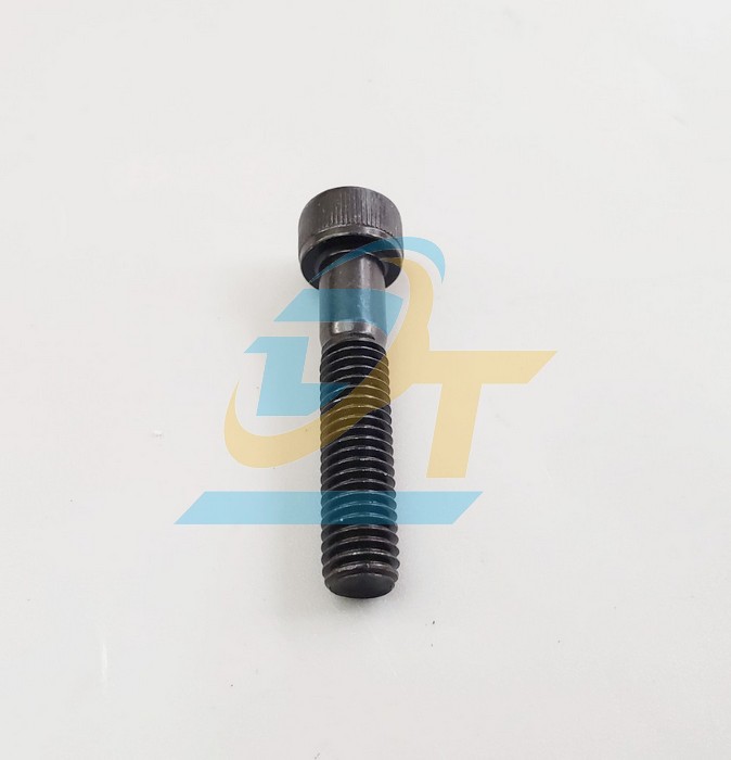 Bulong lục gi&aacute;c ch&igrave;m đầu trụ th&eacute;p đen ren lửng M8x40  VietNam | Gi&aacute; rẻ nhất - C&ocirc;ng Ty TNHH Thương Mại Dịch Vụ Đạt T&acirc;m
