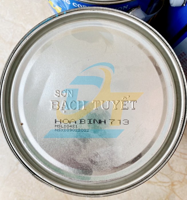 Sơn Alkyd (b&oacute;ng) Bạch Tuyết - M&agrave;u xanh h&ograve;a b&igrave;nh 713 (3kg)  BachTuyet | Gi&aacute; rẻ nhất - C&ocirc;ng Ty TNHH Thương Mại Dịch Vụ Đạt T&acirc;m