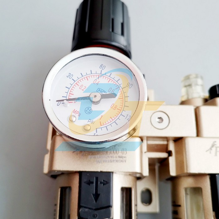 Bộ lọc đ&ocirc;i kh&iacute; n&eacute;n PVN AC3010-03 AC3010-03 PVN | Gi&aacute; rẻ nhất - C&ocirc;ng Ty TNHH Thương Mại Dịch Vụ Đạt T&acirc;m