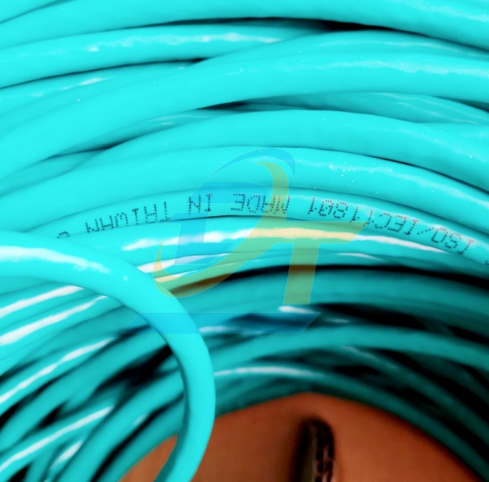 C&aacute;p mạng Golden Link SFTP CAT6 Platinum 305m  GoldenLink | Gi&aacute; rẻ nhất - C&ocirc;ng Ty TNHH Thương Mại Dịch Vụ Đạt T&acirc;m