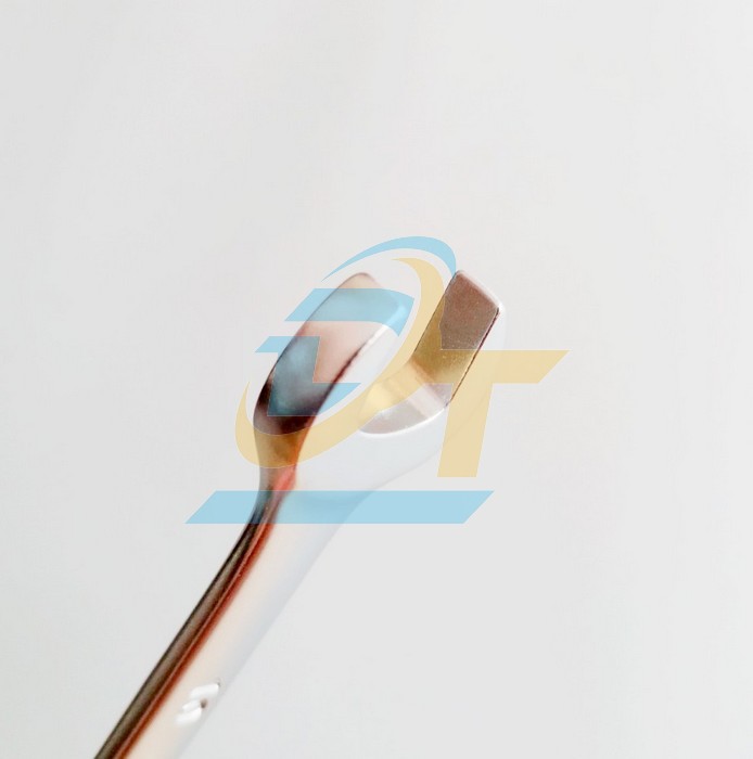 Cờ l&ecirc; v&ograve;ng miệng tự động 10mm Toptul AOAF1010 AOAF1010 TOPTUL | Gi&aacute; rẻ nhất - C&ocirc;ng Ty TNHH Thương Mại Dịch Vụ Đạt T&acirc;m