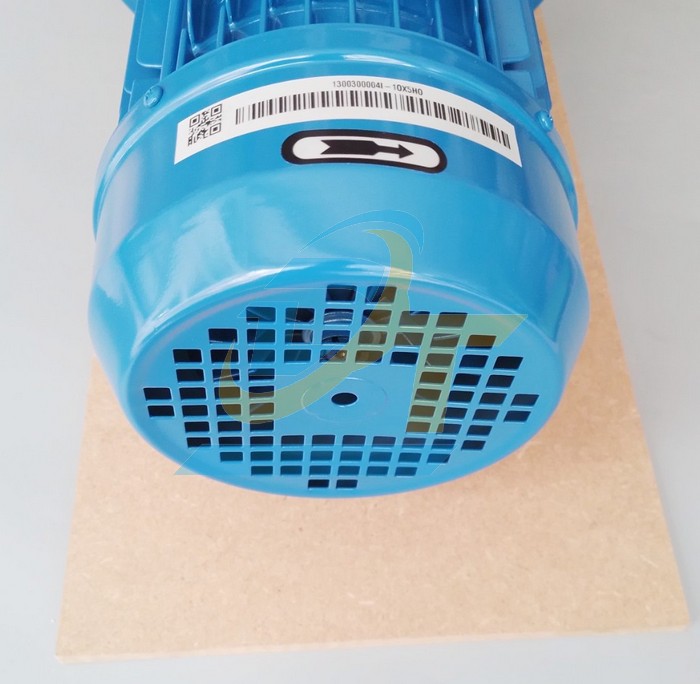 M&aacute;y bơm ly t&acirc;m trục ngang 3HP 2.2kW Ebara 3M/I 32-160/2.2 IE3 3M/I 32-160/2.2 IE3 Ebara | Gi&aacute; rẻ nhất - C&ocirc;ng Ty TNHH Thương Mại Dịch Vụ Đạt T&acirc;m