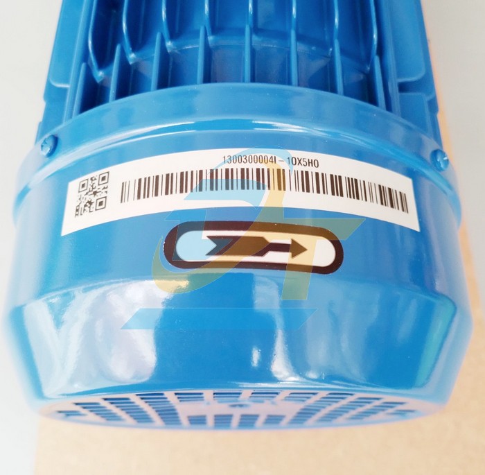 M&aacute;y bơm ly t&acirc;m trục ngang 3HP 2.2kW Ebara 3M/I 32-160/2.2 IE3 3M/I 32-160/2.2 IE3 Ebara | Gi&aacute; rẻ nhất - C&ocirc;ng Ty TNHH Thương Mại Dịch Vụ Đạt T&acirc;m