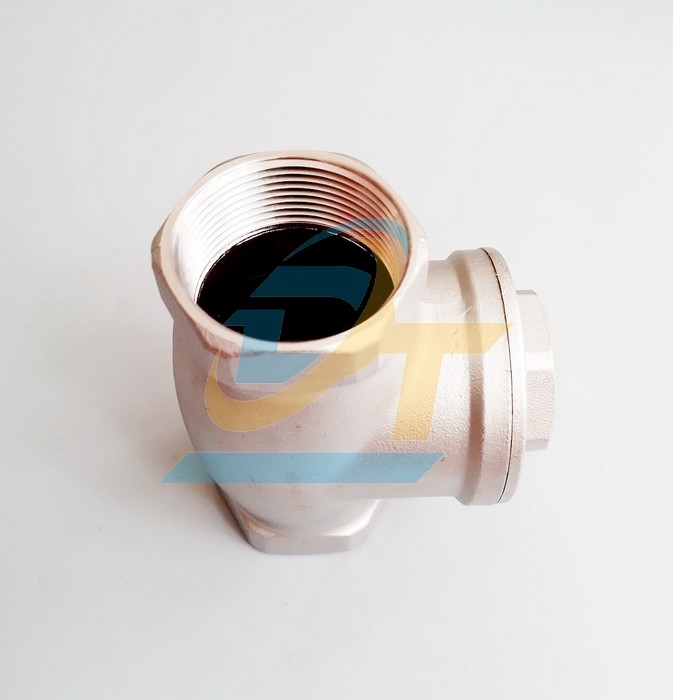Van 1 chiều l&aacute; lật inox 304 nối ren phi 49  VietNam | Gi&aacute; rẻ nhất - C&ocirc;ng Ty TNHH Thương Mại Dịch Vụ Đạt T&acirc;m