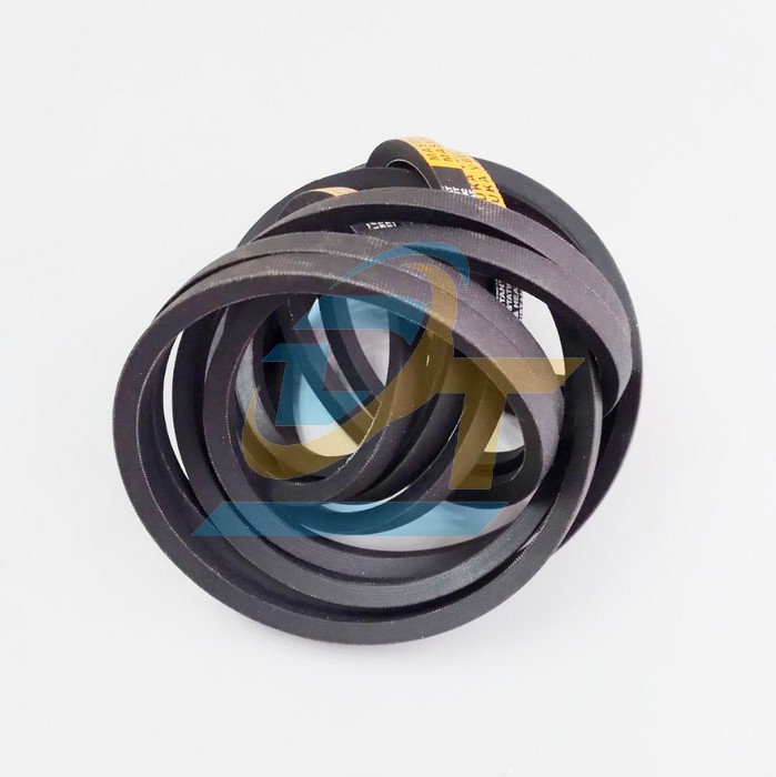 D&acirc;y curoa Masuka A49  MASUKA | Gi&aacute; rẻ nhất - C&ocirc;ng Ty TNHH Thương Mại Dịch Vụ Đạt T&acirc;m