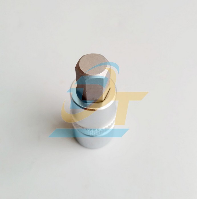 Đầu tu&yacute;p 1/2" b&iacute;t lục gi&aacute;c 10mm Licota H4H010 H4H010 Licota | Gi&aacute; rẻ nhất - C&ocirc;ng Ty TNHH Thương Mại Dịch Vụ Đạt T&acirc;m