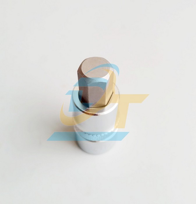 Đầu tu&yacute;p 1/2" b&iacute;t lục gi&aacute;c 12mm Licota H4H012  Licota | Gi&aacute; rẻ nhất - C&ocirc;ng Ty TNHH Thương Mại Dịch Vụ Đạt T&acirc;m