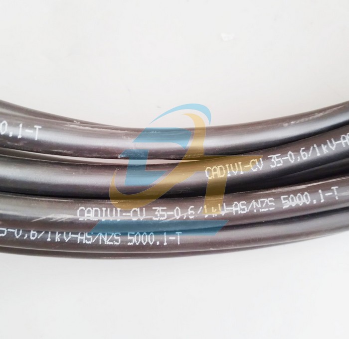 C&aacute;p điều khiển kh&ocirc;ng m&agrave;n chắn Cadivi DVV 10x1.25 - 0.6/1kV  Cadivi | Gi&aacute; rẻ nhất - C&ocirc;ng Ty TNHH Thương Mại Dịch Vụ Đạt T&acirc;m