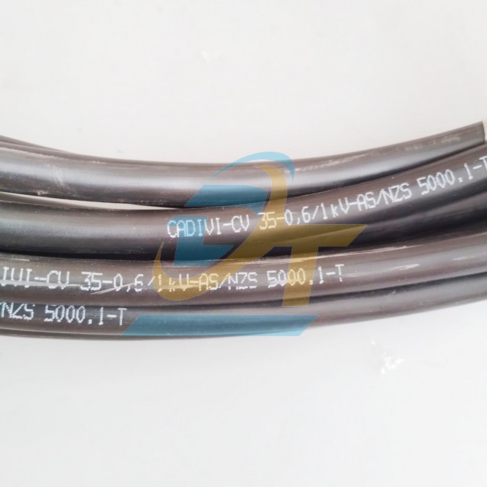C&aacute;p điều khiển kh&ocirc;ng m&agrave;n chắn Cadivi DVV 10x1.25 - 0.6/1kV  Cadivi | Gi&aacute; rẻ nhất - C&ocirc;ng Ty TNHH Thương Mại Dịch Vụ Đạt T&acirc;m