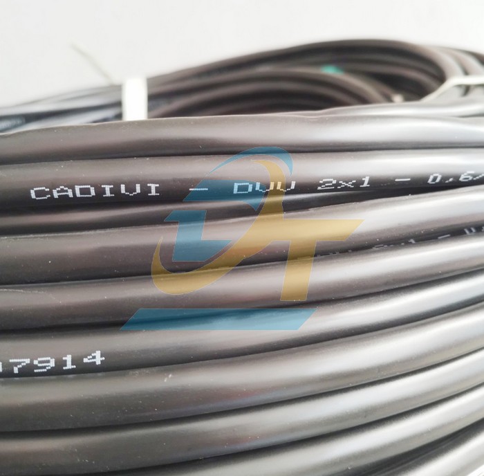 C&aacute;p điều khiển kh&ocirc;ng m&agrave;n chắn Cadivi DVV 2x1 - 0.6/1kV  Cadivi | Gi&aacute; rẻ nhất - C&ocirc;ng Ty TNHH Thương Mại Dịch Vụ Đạt T&acirc;m