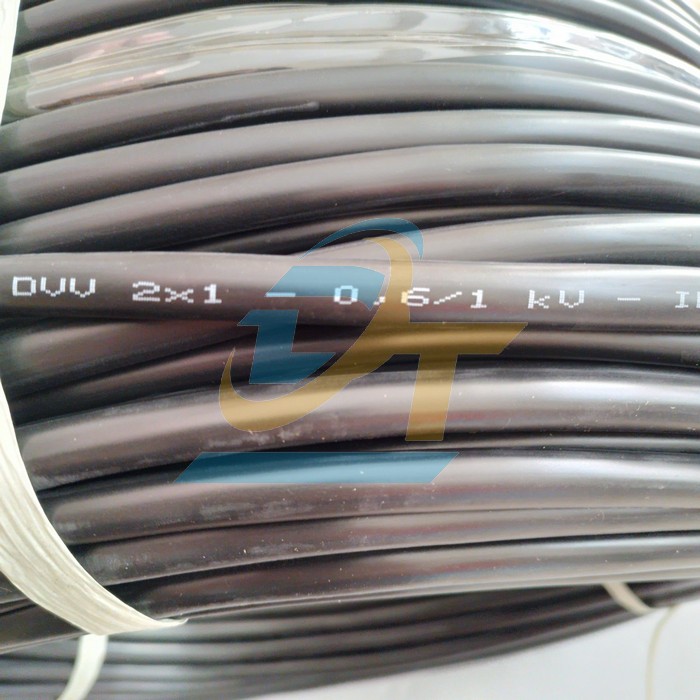 C&aacute;p điều khiển kh&ocirc;ng m&agrave;n chắn Cadivi DVV 2x1 - 0.6/1kV  Cadivi | Gi&aacute; rẻ nhất - C&ocirc;ng Ty TNHH Thương Mại Dịch Vụ Đạt T&acirc;m