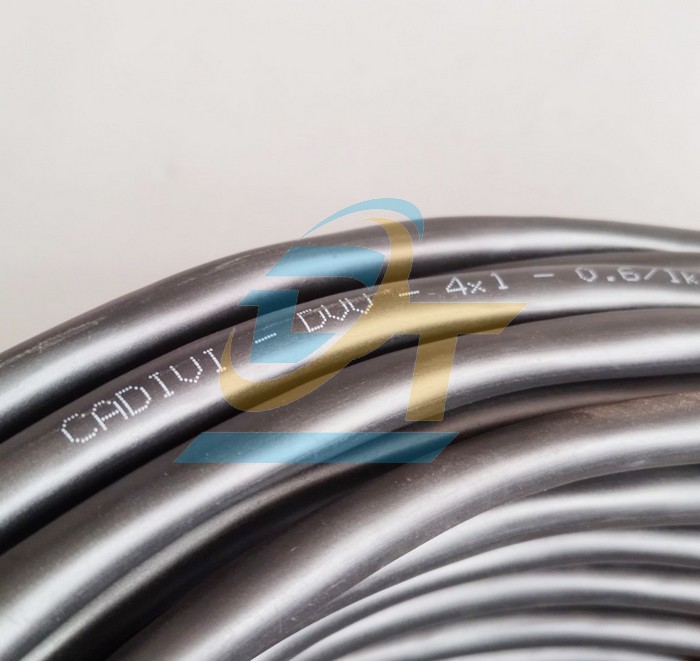 C&aacute;p điều khiển kh&ocirc;ng m&agrave;n chắn Cadivi DVV 4x1 - 0.6/1kV  Cadivi | Gi&aacute; rẻ nhất - C&ocirc;ng Ty TNHH Thương Mại Dịch Vụ Đạt T&acirc;m